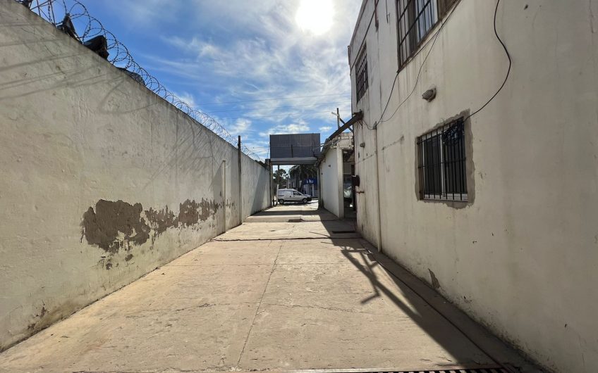 CAMARA FRIGORÍFICA, LOCAL Y GALPON EN VENTA