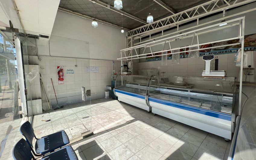 CAMARA FRIGORÍFICA, LOCAL Y GALPON EN VENTA