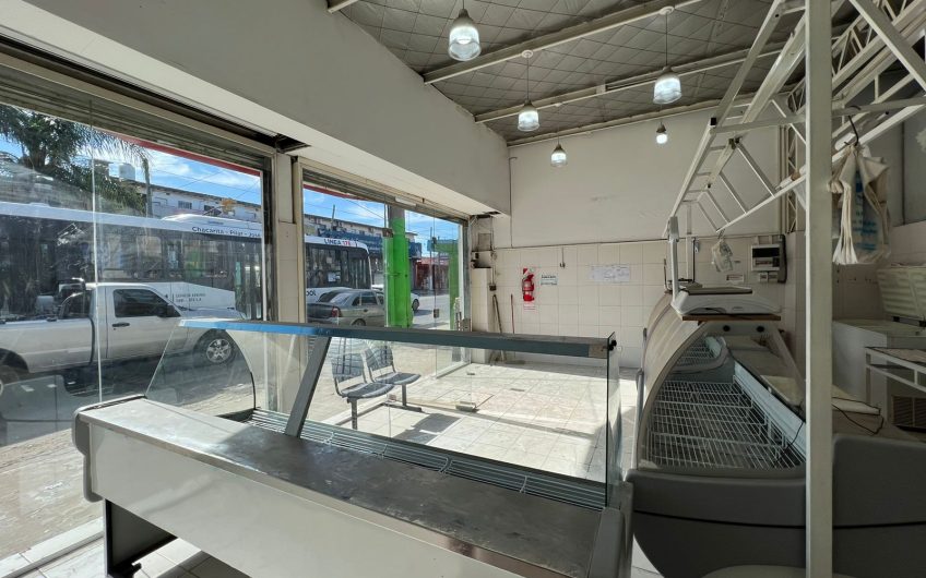 CAMARA FRIGORÍFICA, LOCAL Y GALPON EN VENTA