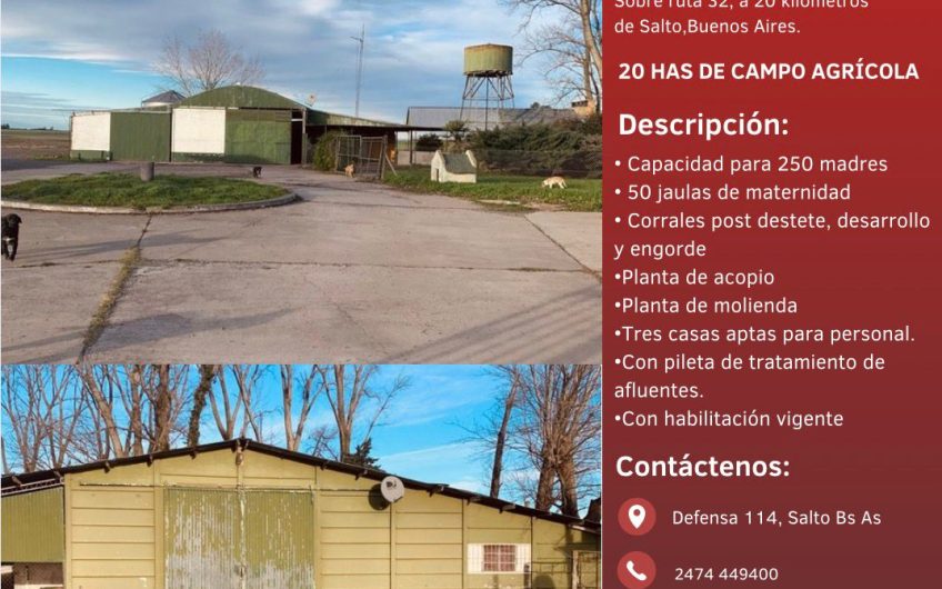 CRIADERO DE CERDO Y 20 HAS EN VENTA O ALQUILER