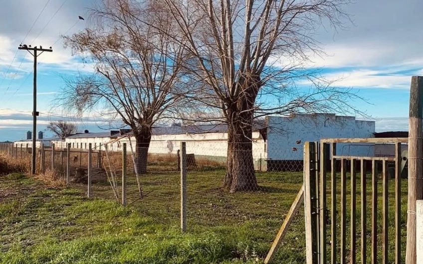 CRIADERO DE CERDO Y 20 HAS EN VENTA O ALQUILER