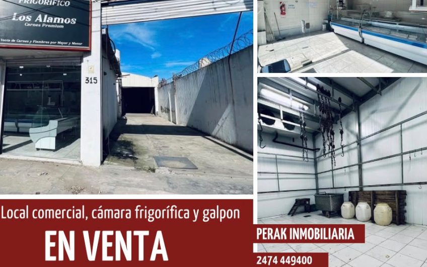 CAMARA FRIGORÍFICA, LOCAL Y GALPON EN VENTA